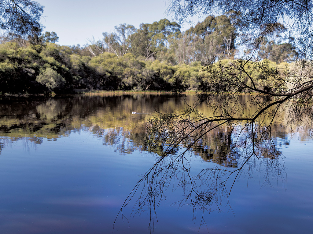 Town of Bassendean 2023/2024 Annual Report Available