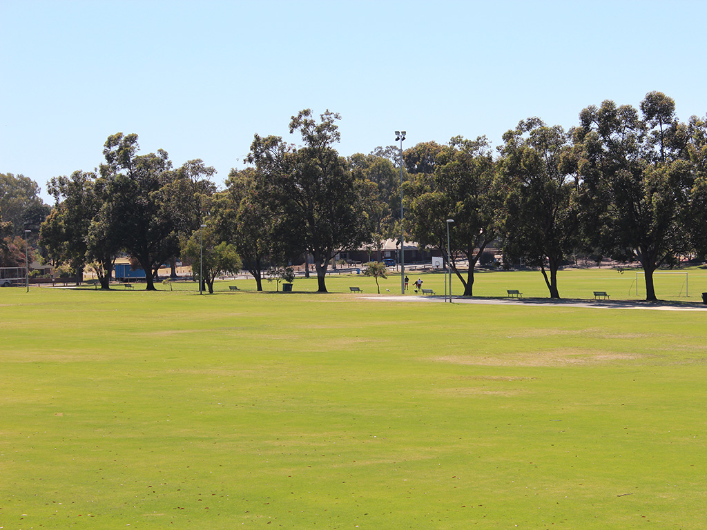 Fencing Replacement at Ashfield Reserve